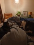 20201215_160950.jpg