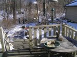 20201223 squirrel on back deck.JPG