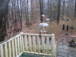20201225 back woods from deck.JPG