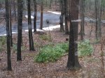 20201225 Upper driveway birdhouse.JPG