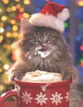 Hot%20Chocolate%20Kitty.jpg
