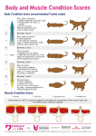 BCS-and-MCS-849x1200.png