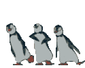 upload_2021-1-13_22-11-39.gif