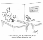 Screen Shot 2021-01-23 at 7.21.03 AM.png