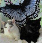 Ravan & Alice 2021.JPG