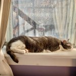 IMG_2354.jpeg