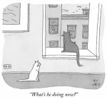 Screen Shot 2021-03-12 at 3.19.59 PM.png