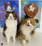 Skærmbillede 2021-04-10 kl. 3.50.04 PM.png