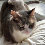 IMG_2537.jpeg