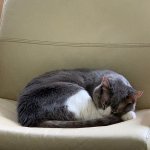 IMG_2551.jpeg