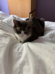 IMG_2555.jpeg