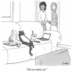 Screen Shot 2021-06-05 at 8.38.05 AM.png