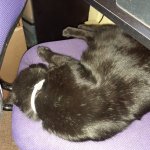 campa in mom's chair.jpg