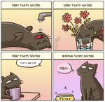 Screen Shot 2021-07-24 at 8.49.47 AM.png