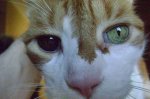 DSC01193.JPG
