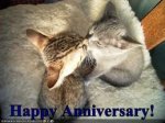 happy anniversary.jpeg