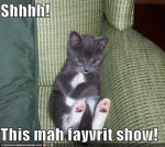 funny-pictures-kitten-watches-tv.jpg