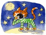 Cats Pajamas.jpg