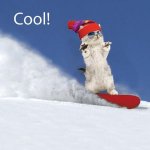 CoolSnowboardingKitty.jpg
