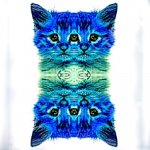 blue green kitty.jpg