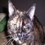 Pets! 012.JPG