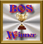 _BOS award5-1.gif