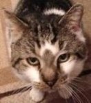 Simon Closeup.jpg
