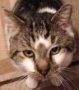 Simon Closeup resize.jpg