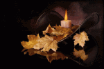 candle2 with leaves.gif