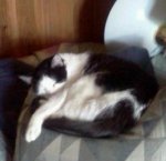 031213183941-1.jpg