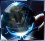 cat-crystal-ball.jpg