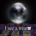 cat-crystal-ball-tarot-cute.jpg