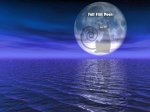 Full_Moon2-web.jpg