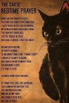Cat's Bedtime Prayer.jpg