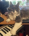 IMG_6043.jpeg