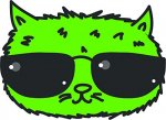 upload_2022-3-13_0-27-20.jpeg