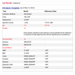 Screen Shot 2022-05-19 at 6.08.28 PM.png