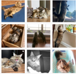 Screen Shot 2022-06-17 at 4.31.33 PM.png