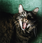 Screen Shot 2022-09-06 at 7.20.36 AM.png