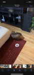 upload_2023-1-18_21-52-6.png