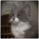 IMG_01.jpeg