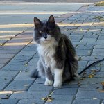 IMG_04.jpeg