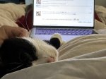 IMG_0097 Large.jpeg