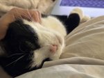 IMG_0099 Large.jpeg