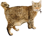 upload_2023-12-31_20-43-42.png