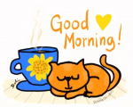 upload_2024-1-11_8-12-56.png