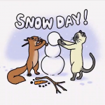 upload_2024-1-16_10-57-57.png