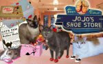jojo-shoe-store.jpg