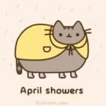 upload_2024-4-12_10-54-51.png