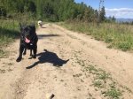 Max Airborne.jpeg
